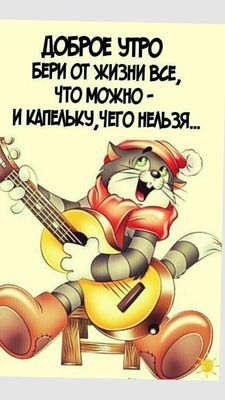 Открытка «С добрым утром»: Доброе утро: Кот-музыкант и дерзкий девиз!. Тэги: кот, животное, музыкант, гитара, инструм…