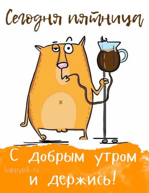 Открытка «С добрым утром»: С добрым утром, пятница! Держись, спасает кофе.. Тэги: кот, животное, пожелание, позитивная…