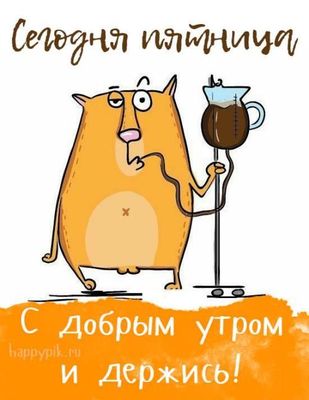 Открытка «С добрым утром»: С добрым утром, пятница! Держись, спасает кофе.. Тэги: кот, животное, пожелание, позитивная…
