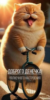 Открытка «С добрым утром»: Кот на велосипеде: Доброе утро и солнечный день!. Тэги: кот, животное, пожелание, позитивн…