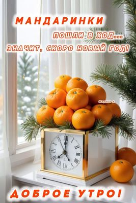 Открытка «С добрым утром»: Доброе утро! Мандарины — значит, скоро Новый год!. Тэги: пожелание, хорошего дня, отличное…