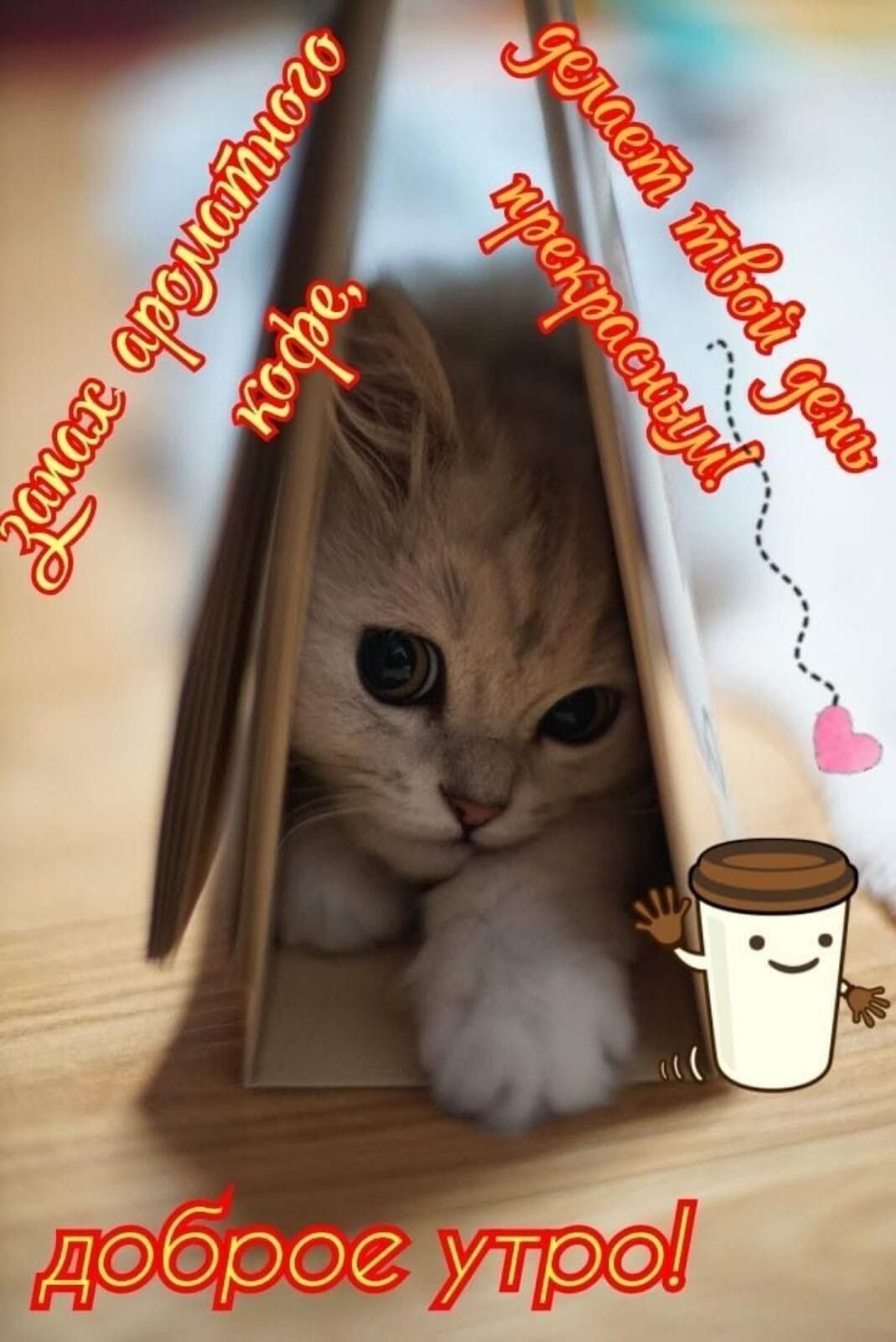 Открытка «С добрым утром»: Пушистое утро: кофе и котёнок для прекрасного дня!. Тэги: кот, животное, пожелание, хороше…