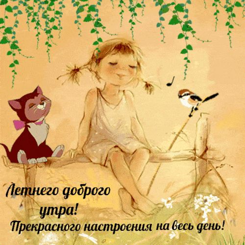 Открытка «С добрым утром»: Летнего доброго утра и прекрасного настроения!. Тэги: кот, животное, пожелание, хорошего д…
