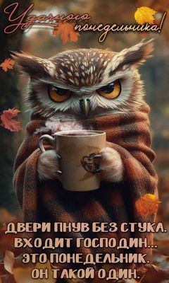 Открытка «С добрым утром»: Осенняя сова с кофе: Удачного понедельника!. Тэги: животное, пожелание, позитивная, юмор…