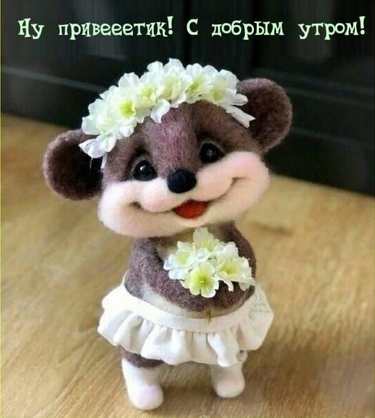 Открытка «С добрым утром»: Милый приветик: с добрым утром!. Тэги: животное, пожелание, позитивная, отличное настроение…