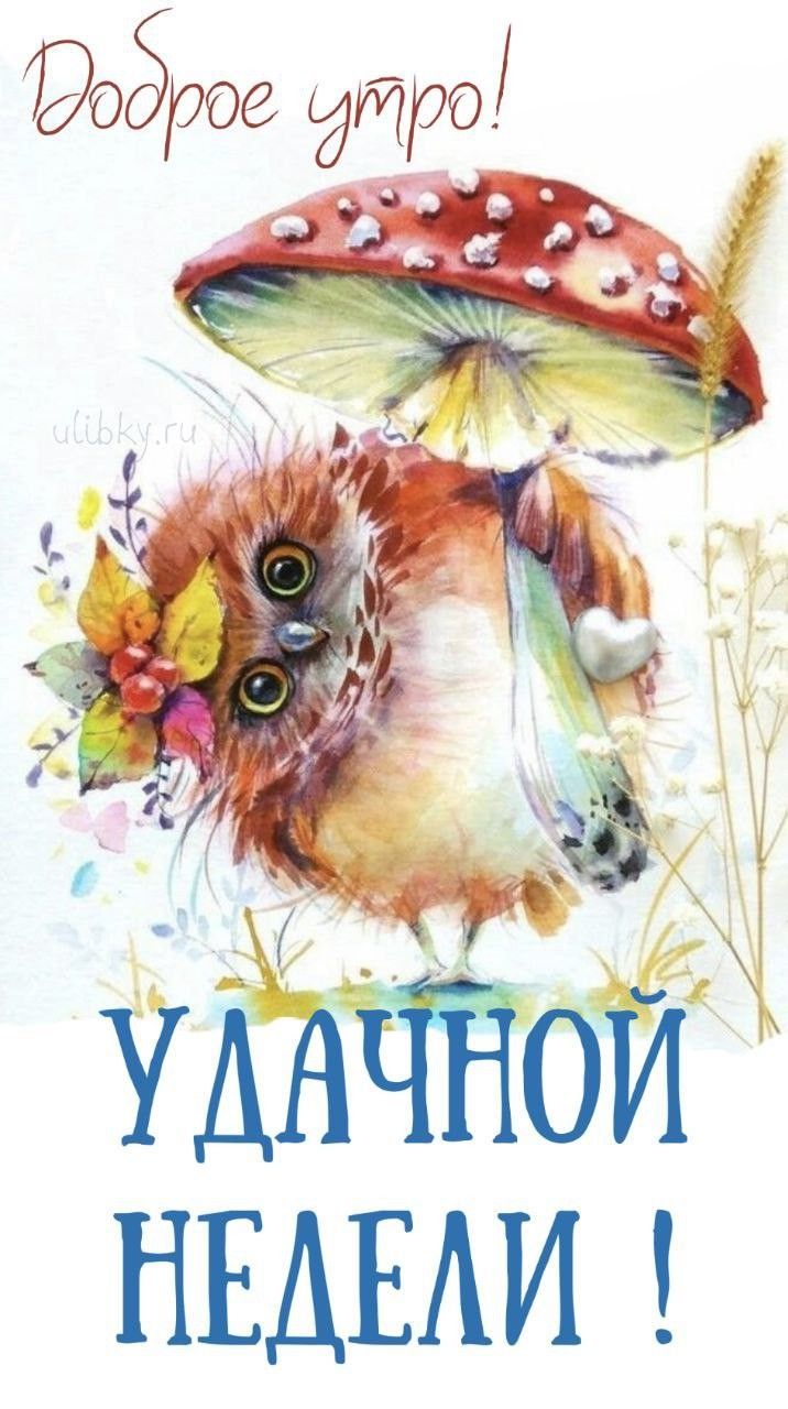 Открытка «С добрым утром»: Милая сова желает доброго утра и удачной недели!. Тэги: животное, пожелание, позитивная…