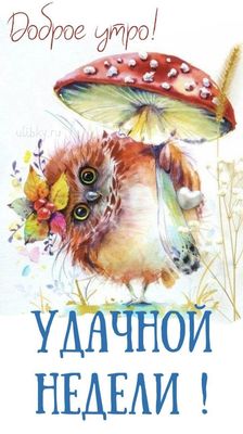 Открытка «С добрым утром»: Милая сова желает доброго утра и удачной недели!. Тэги: животное, пожелание, позитивная…