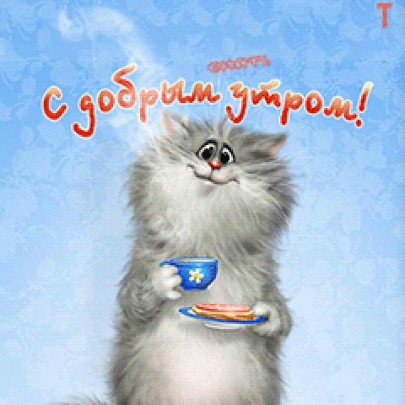 Открытка «С добрым утром»: Доброе утро: милый кот с кофе и завтраком. Тэги: кот, животное, пожелание, юмор, улыбка…