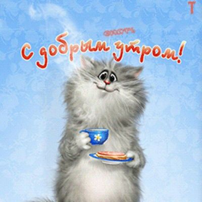 Открытка «С добрым утром»: Доброе утро: милый кот с кофе и завтраком. Тэги: кот, животное, пожелание, юмор, улыбка…