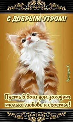 Открытка «С добрым утром»: С добрым утром: милый кот, любовь и счастье в доме!. Тэги: кот, животное, пожелание…