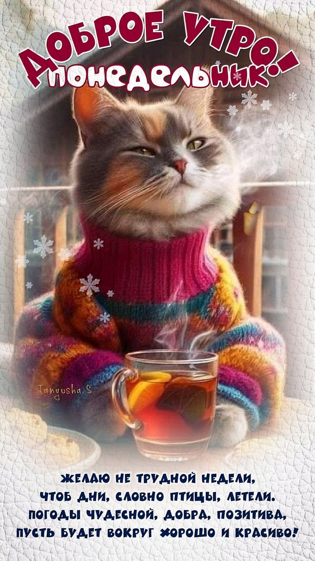 Открытка «С добрым утром»: С добрым утром, понедельник! Уютный кот в свитере. Тэги: кот, животное, пожелание, хорошег…