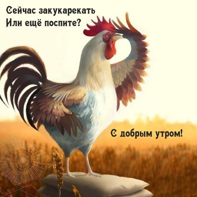 Открытка «С добрым утром»: С добрым утром! Веселый петушок будит ото сна. Тэги: животное, пожелание, позитивная…