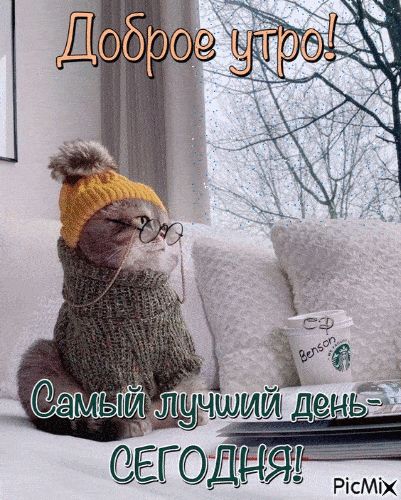 Открытка «С добрым утром»: Доброе утро! Самый лучший день – сегодня!. Тэги: кот, животное, пожелание, позитивная…
