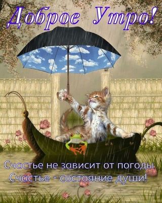 Открытка «С добрым утром»: Доброе утро! Котёнок, зонт и счастье в любую погоду!. Тэги: кот, животное, пожелание…