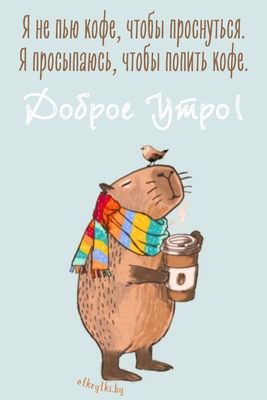 Открытка «С добрым утром»: Доброе утро: просыпаюсь, чтобы попить кофе!. Тэги: животное, пожелание, юмор, шарф, утро…
