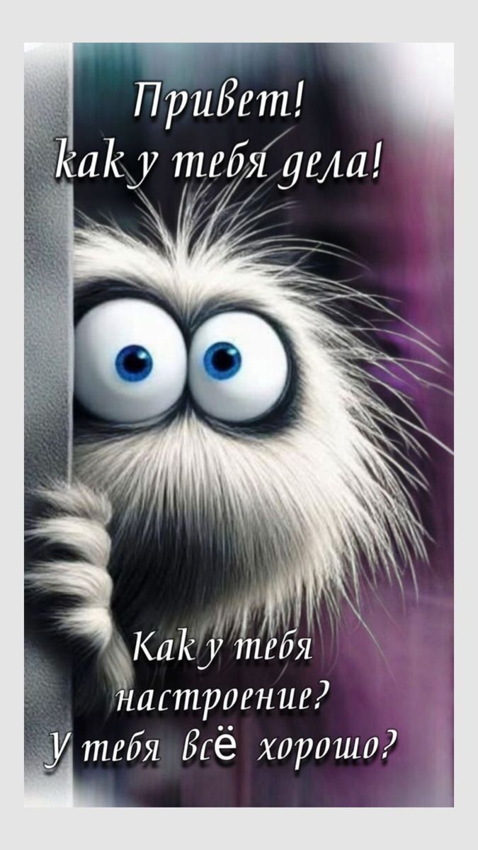 Открытка «С добрым утром»: С добрым утром! Как твои дела и настроение?. Тэги: кот, пожелание, юмор, утро, друг…