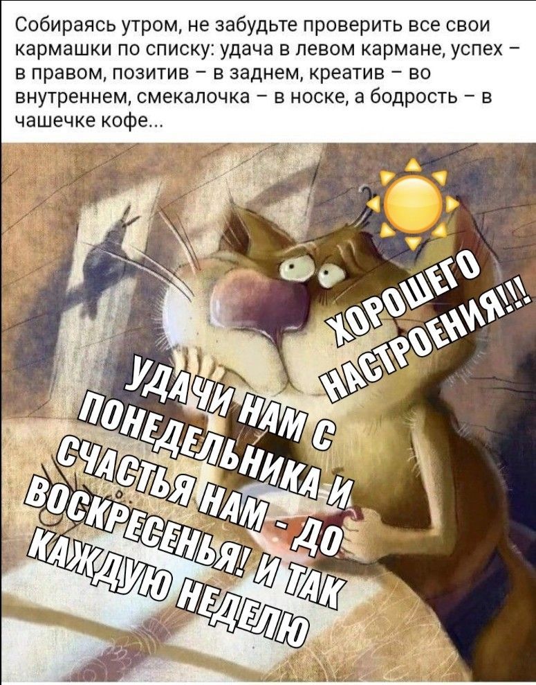 Открытка «С добрым утром»: Доброе утро от кота: удачи и хорошей недели!. Тэги: кот, животное, пожелание, отличное нас…