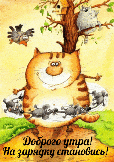 Открытка «С добрым утром»: Доброе утро! Коты и мыши зовут на зарядку. Тэги: кот, животное, пожелание, позитивная…