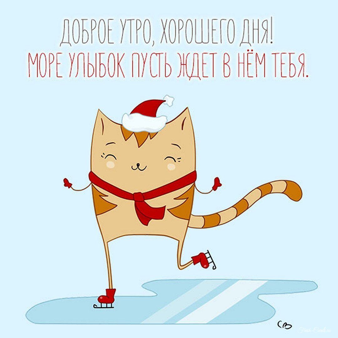 Открытка «С добрым утром»: Весёлый кот на коньках дарит доброе утро и улыбки. Тэги: кот, животное, пожелание, хорошег…