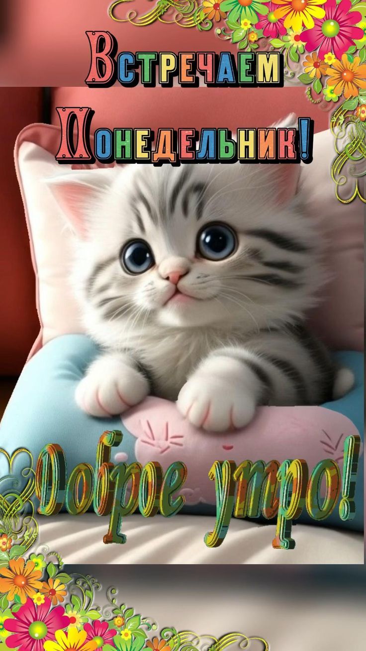 Открытка «С добрым утром»: Доброе утро! Встречаем понедельник с котёнком. Тэги: кот, животное, пожелание, отличное на…