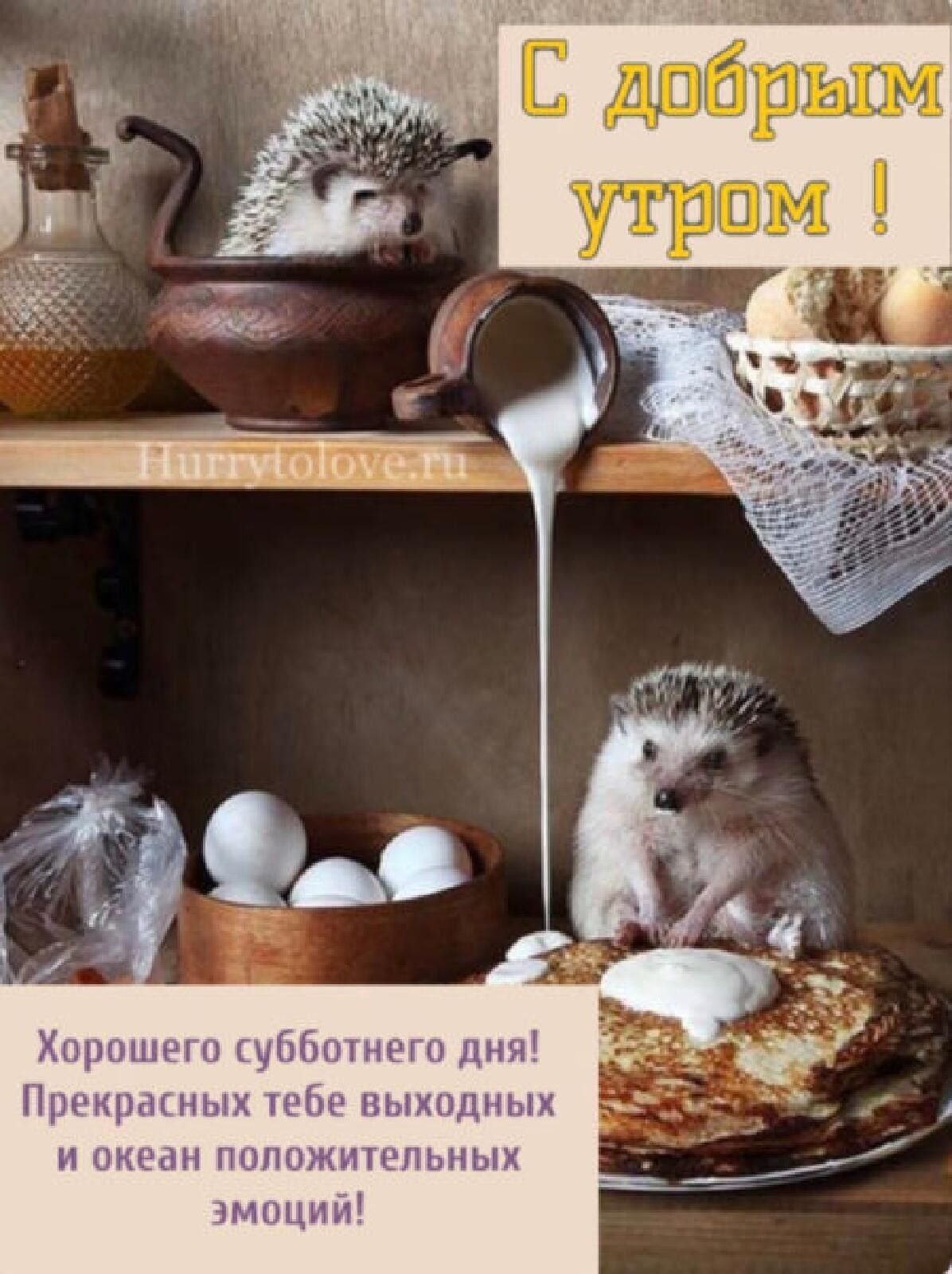 Открытка «С добрым утром»: Уютное субботнее утро с ёжиками и блинами!. Тэги: животное, пожелание, утро, позитив, уют…