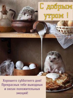 Открытка «С добрым утром»: Уютное субботнее утро с ёжиками и блинами!. Тэги: животное, пожелание, утро, позитив, уют…