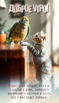 Открытка «С добрым утром»: Доброе утро: радость, уют и милые питомцы. Тэги: кот, животное, пожелание, отличное настро…