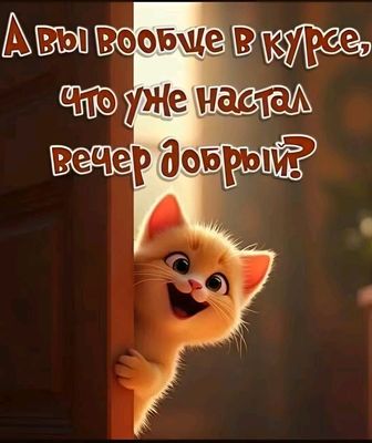 Открытка «С добрым утром»: А вы в курсе? Вечер добрый от котика!. Тэги: кот, животное, пожелание, позитивная, отлично…