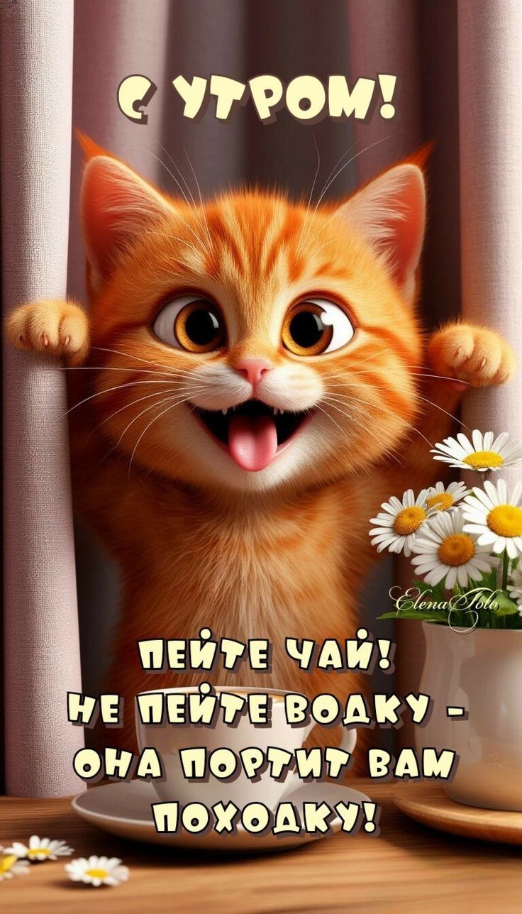 Открытка «С добрым утром»: Доброе утро: рыжий кот, чай и бодрый юмор!. Тэги: кот, животное, пожелание, позитивная…