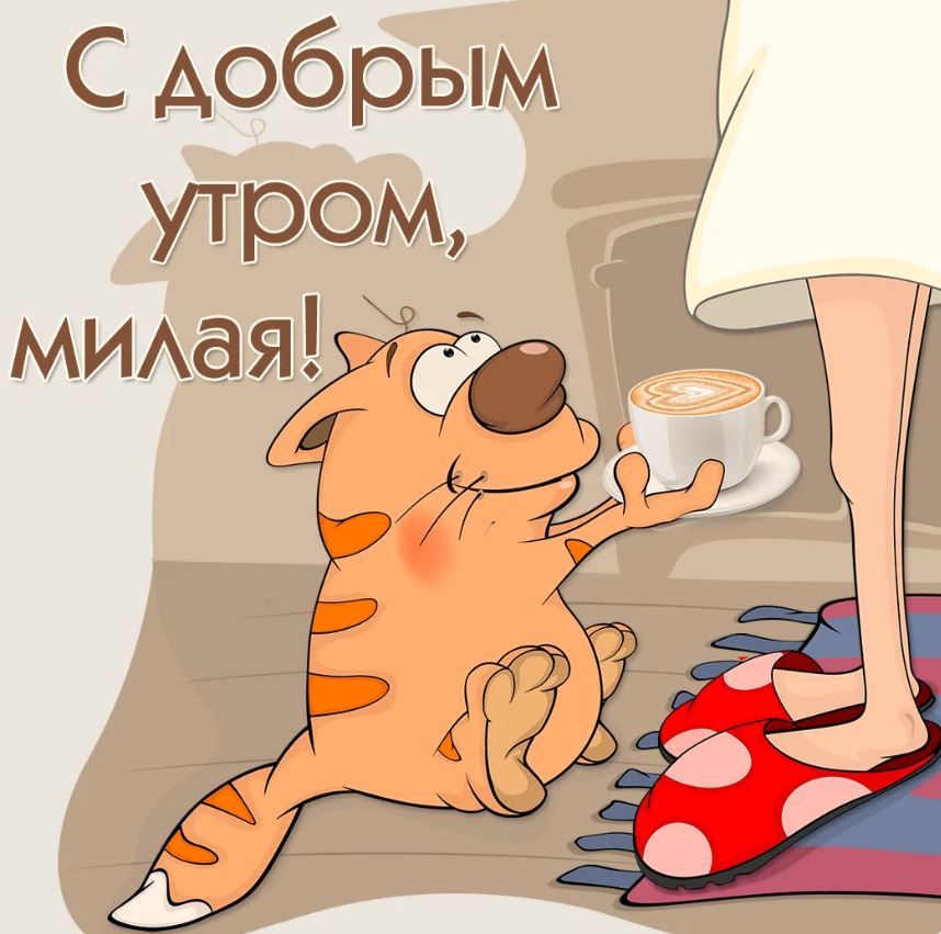 Открытка «С добрым утром»: С добрым утром, милая! Котик несет кофе. Тэги: кот, животное, пожелание, позитивная…