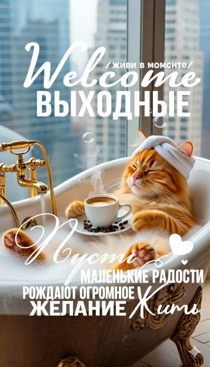 Открытка «С добрым утром»: С добрым утром! Пушистый релакс и выходные. Тэги: кот, пожелание, хорошего дня, отличное н…