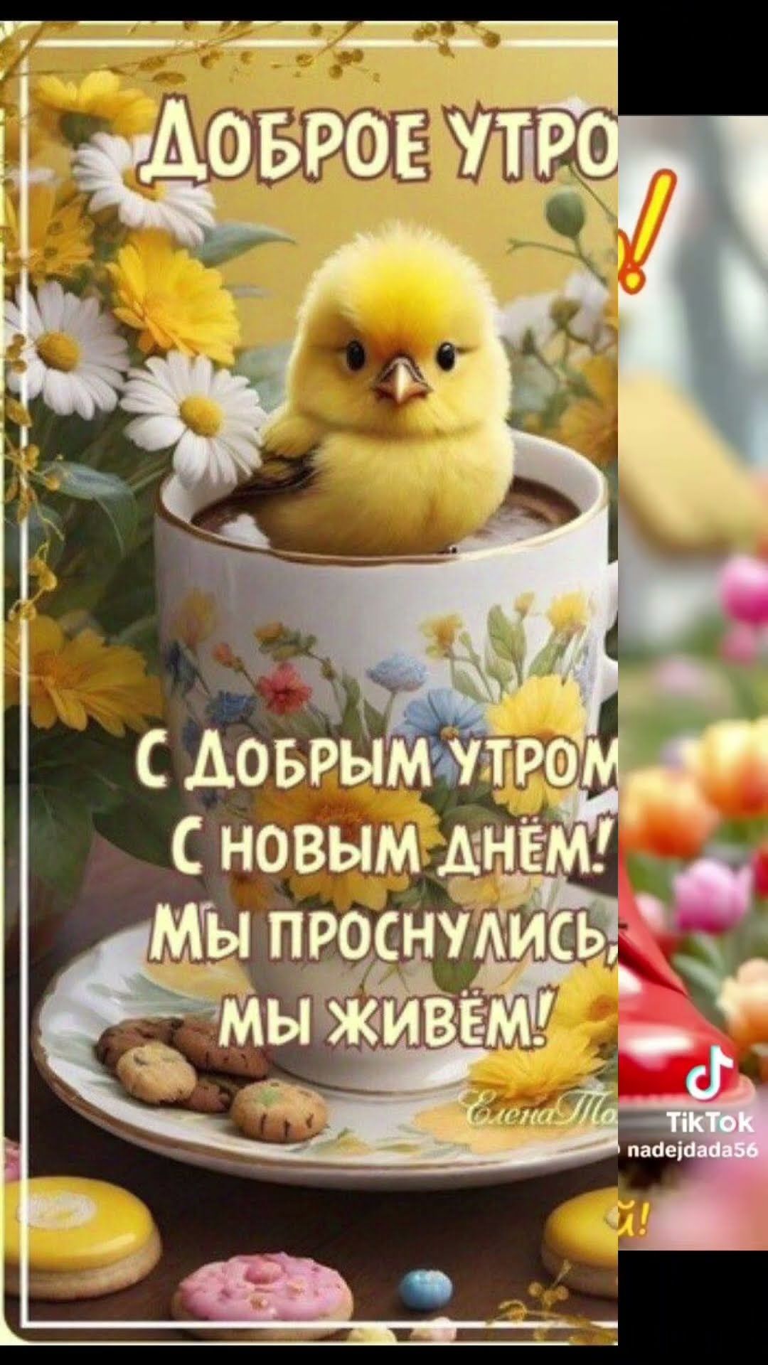 Открытка «С добрым утром»: Нежное доброе утро с милым цыпленком и кофе. Тэги: животное, пожелание, позитивная, хороше…