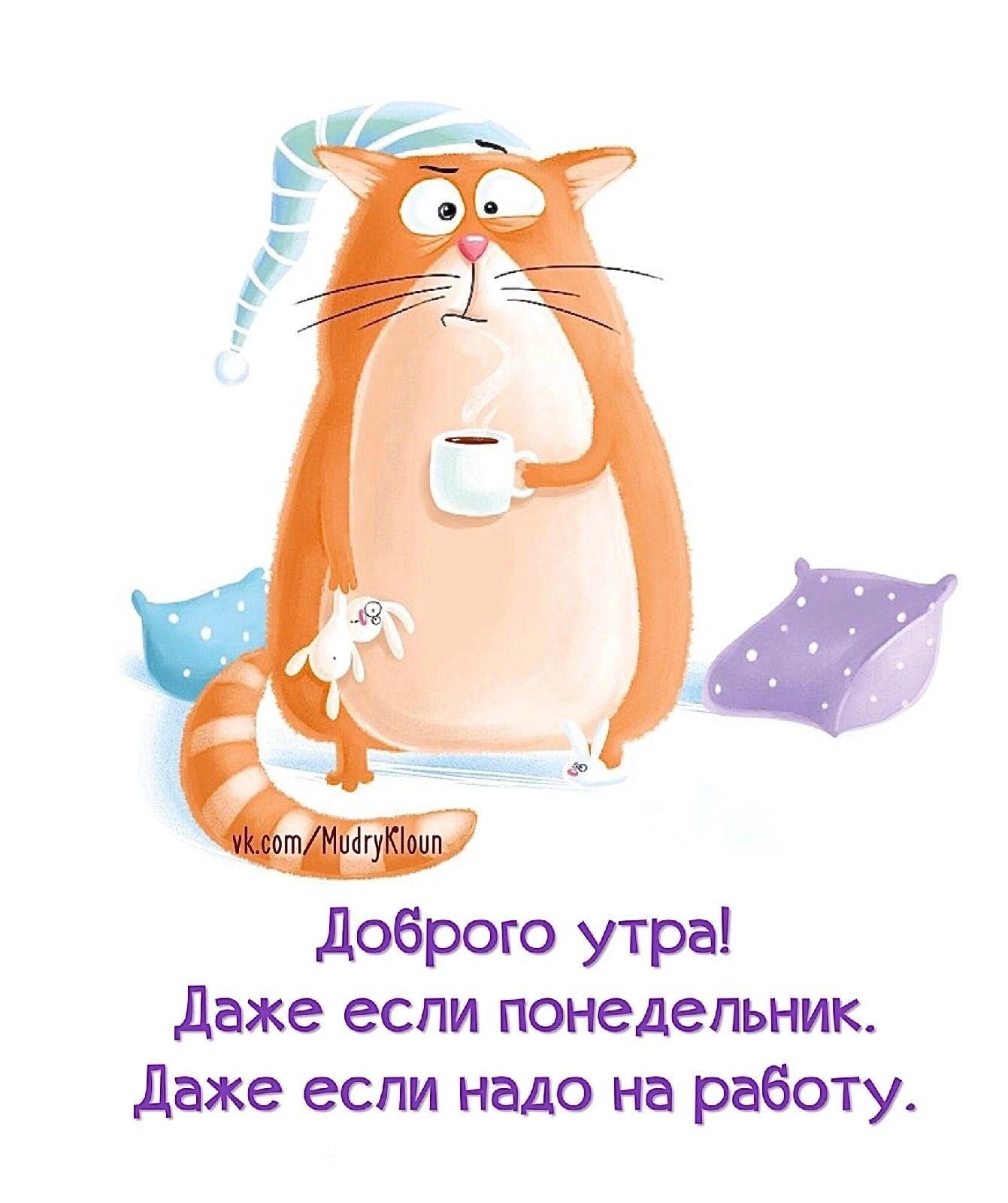 Открытка «С добрым утром»: Доброго утра! Даже если понедельник. Тэги: кот, животное, пожелание, позитивная, хорошего…