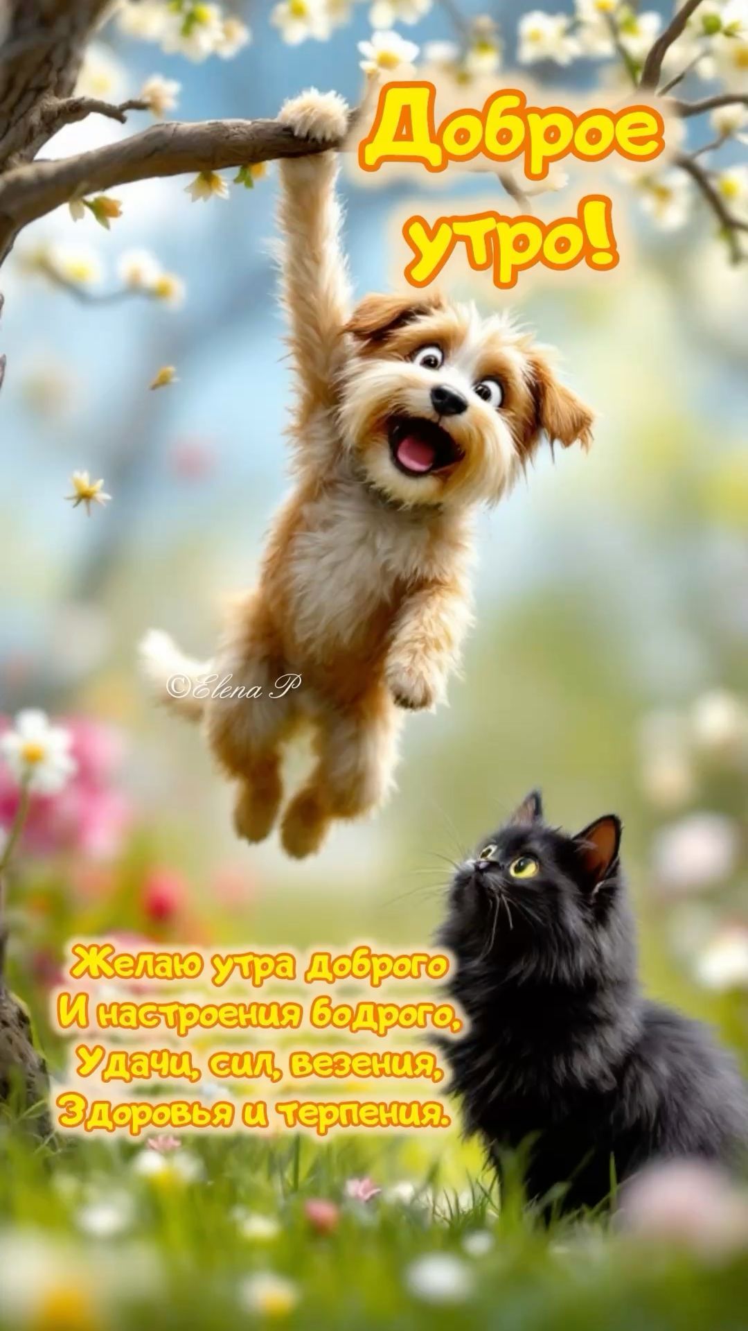 Открытка «С добрым утром»: С добрым утром: весёлые друзья и добрые пожелания. Тэги: кот, животное, пожелание, позитив…