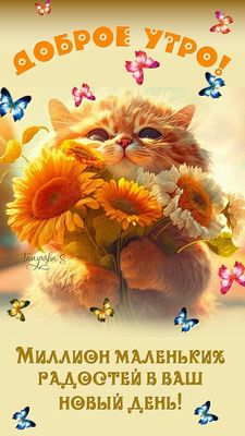 Открытка «С добрым утром»: Доброе утро: пушистый кот, цветы и миллион радостей!. Тэги: кот, животное, пожелание…