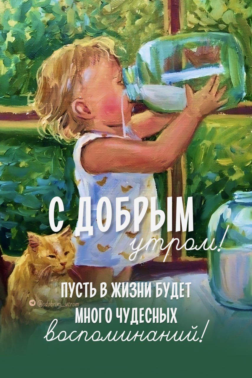 Открытка «С добрым утром»: С добрым утром! Радость, лето и добрые воспоминания. Тэги: кот, животное, пожелание…