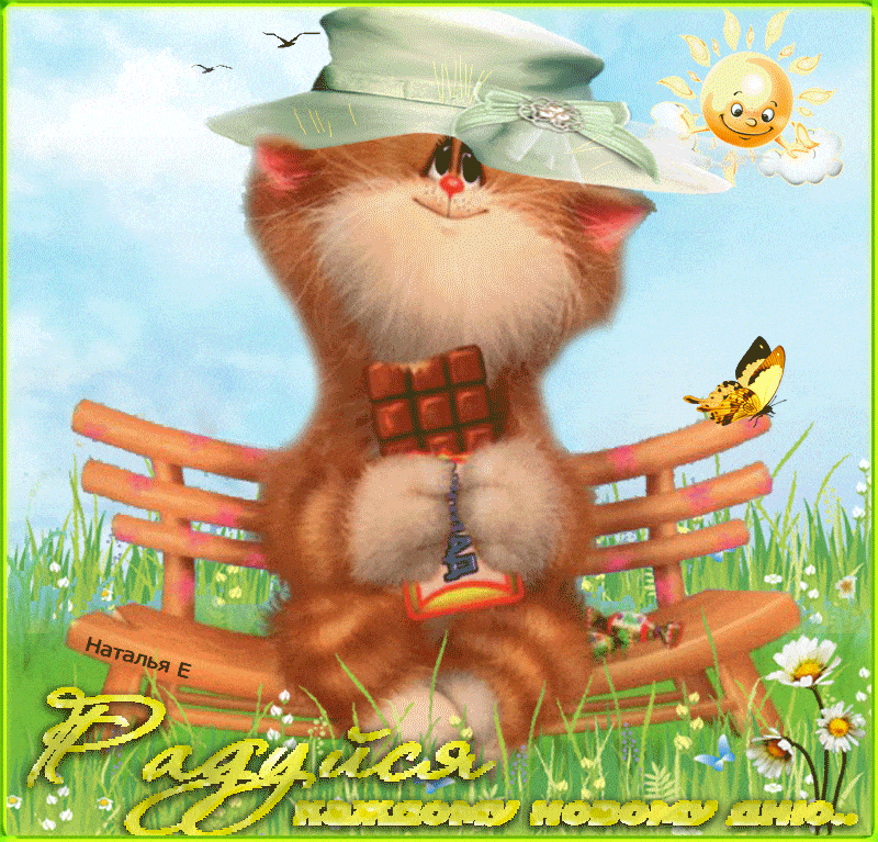 Открытка «С добрым утром»: Доброе утро! Радуйся каждому новому дню.. Тэги: кот, животное, пожелание, позитивная…