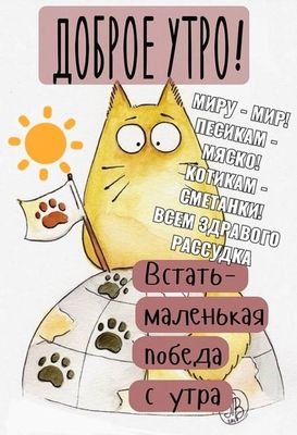 Открытка «С добрым утром»: С добрым утром: котик, солнце и маленькая победа. Тэги: кот, животное, пожелание, позитивн…