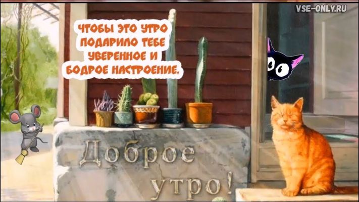 Открытка «С добрым утром»: Доброе утро! Пусть подарит уверенность и бодрость. Тэги: кот, животное, пожелание, отлично…