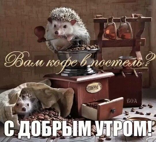 Открытка «С добрым утром»: Кофе в постель от ежиков: С добрым утром!. Тэги: животное, пожелание, позитивная, юмор…