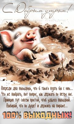 Открытка «С добрым утром»: С добрым утром! Впереди 100% выходных!. Тэги: животное, пожелание, юмор, прикольная…