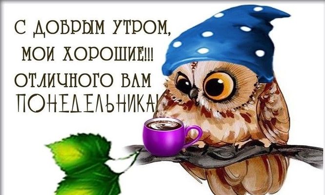 Открытка «С добрым утром»: Милая сова и доброе утро для отличного понедельника. Тэги: животное, пожелание, позитивная…