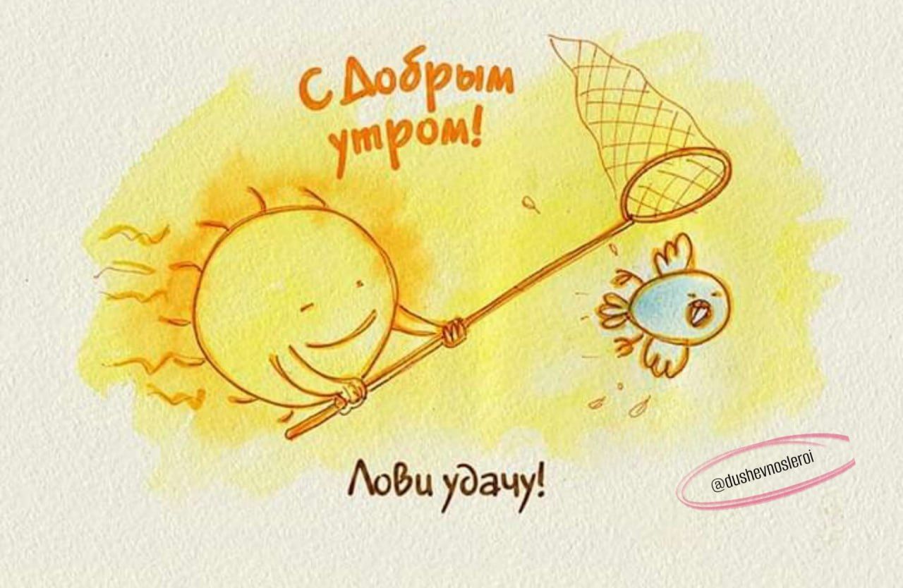 Открытка «С добрым утром»: С добрым утром! Лови удачу с улыбкой солнца!. Тэги: животное, пожелание, юмор, прикольная…