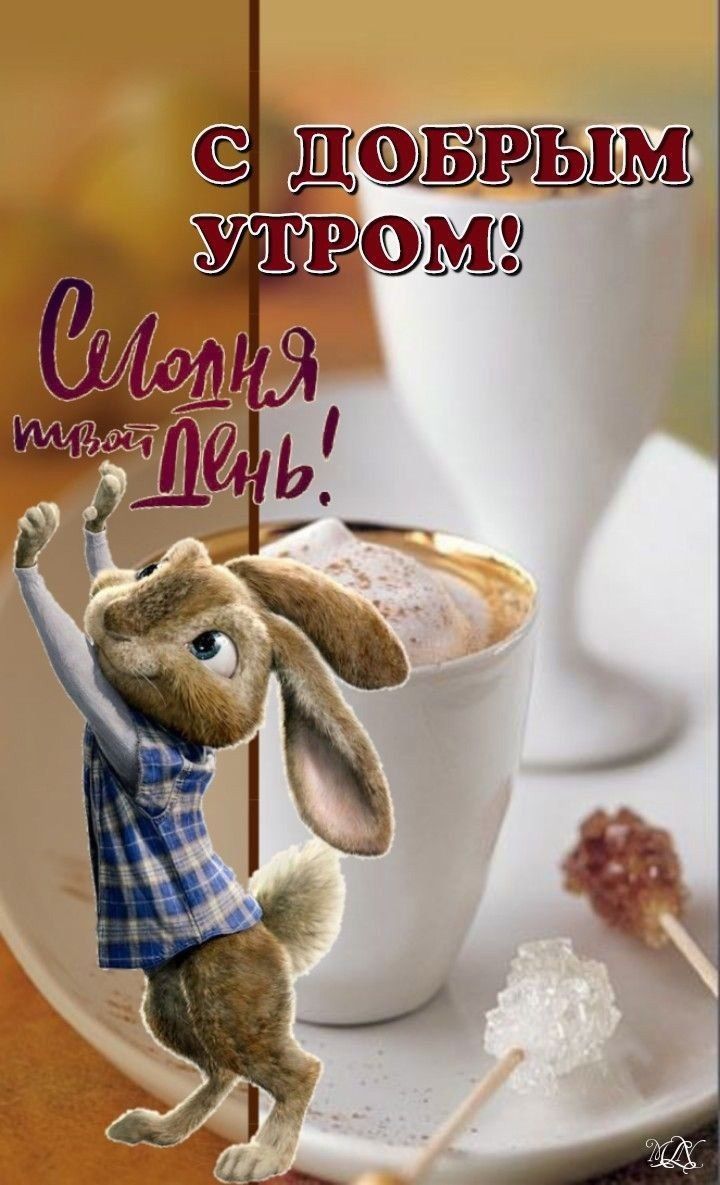 Открытка «С добрым утром»: С добрым утром! Зажигай, это твой день!. Тэги: животное, пожелание, позитивная, прикольная…