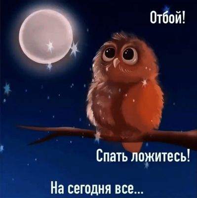 Открытка «С добрым утром»: С добрым утром! Отбой для совы, подъем для тебя!. Тэги: животное, пожелание, позитивная…
