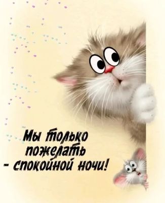 Открытка «С добрым утром»: С добрым утром от пушистых друзей!. Тэги: кот, животное, пожелание, позитивная, юмор…