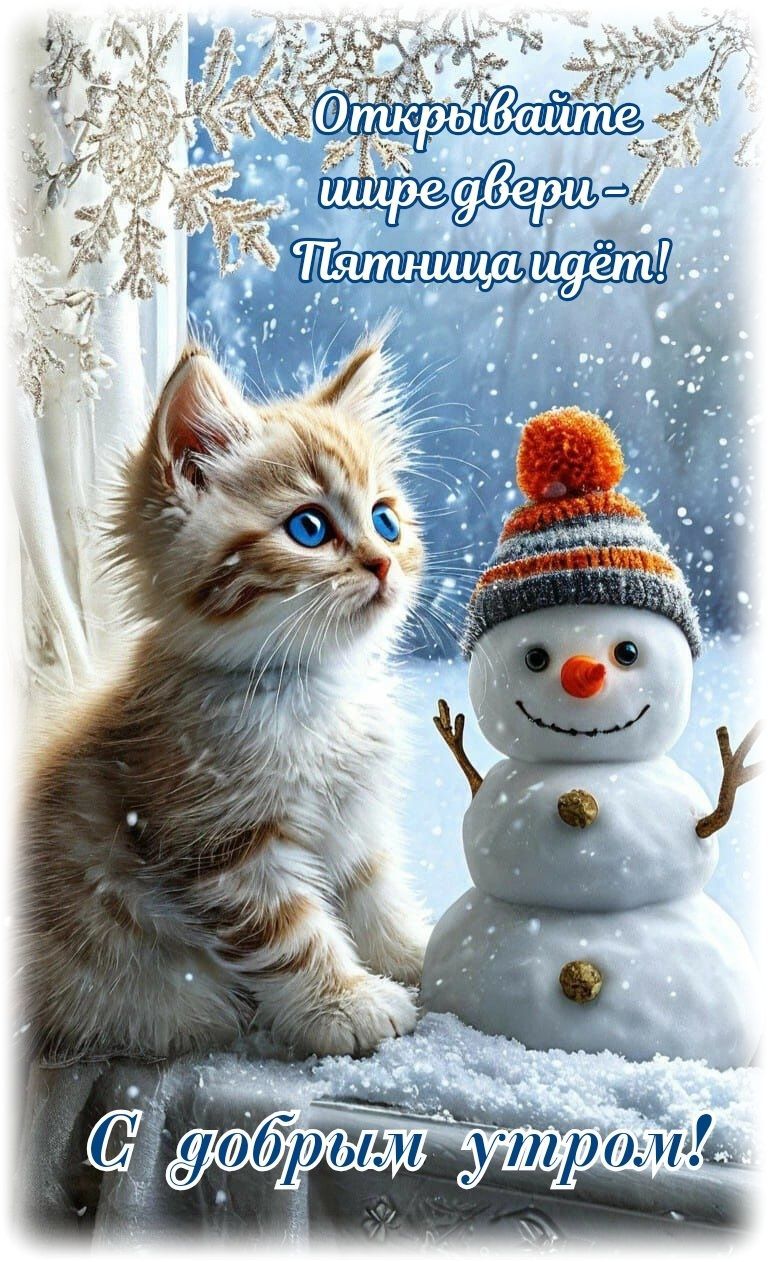 Открытка «С добрым утром»: С добрым утром! Пятница идет!. Тэги: кот, животное, пожелание, позитивная, шапка, утро…