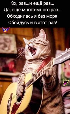 Открытка «С добрым утром»: С добрым утром! Кот-музыкант поет свою песню. Тэги: кот, животное, гитара, пожелание…