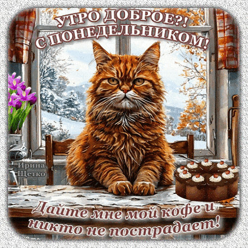 Открытка «С добрым утром»: Рыжий кот и понедельник: срочно кофе!. Тэги: кот, животное, пожелание, позитивная, отлично…