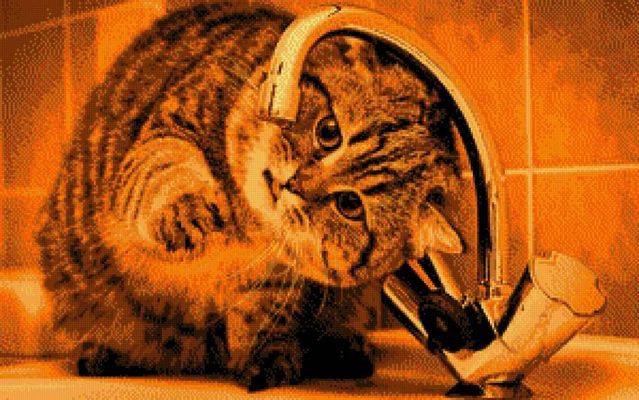 Открытка «С добрым утром»: С добрым утром! Пушистый любопытный кот у крана. Тэги: кот, животное, отличное настроение…